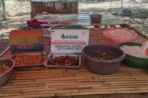 Dari Infaq dan Sedekahmu Kini Jadi Dapur Umum Yang Hangat Untuk Penyintas Gempa di NTT